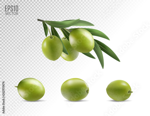 Green olives set isolated on transparent background as package design elements. Photo-realistic vector, 3d