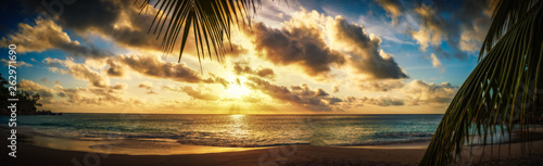 Sunset through a palm leaf on paradise beach 1 photo