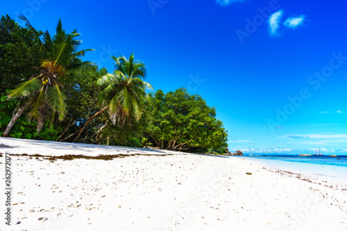 Palm trees, white sand and turquoise water at the beach of anse severe, la digue, seychelles 8