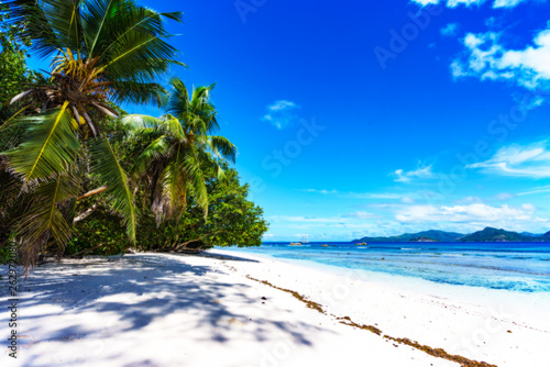 Fototapeta Naklejka Na Ścianę i Meble -  Palm trees, white sand and turquoise water at the beach of anse severe, la digue, seychelles 1