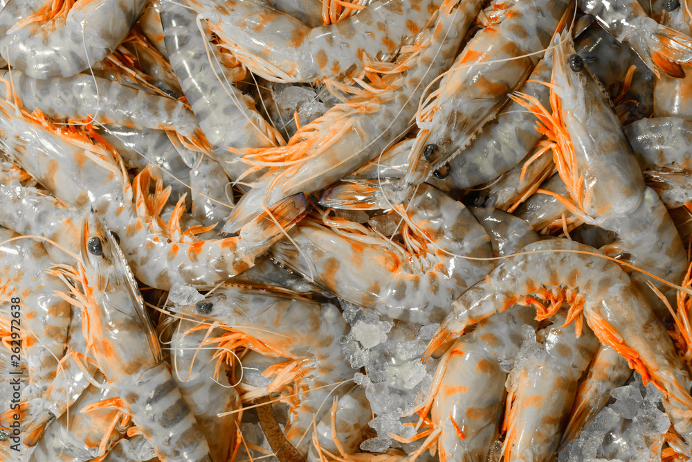 Background of tiger prawns on ice