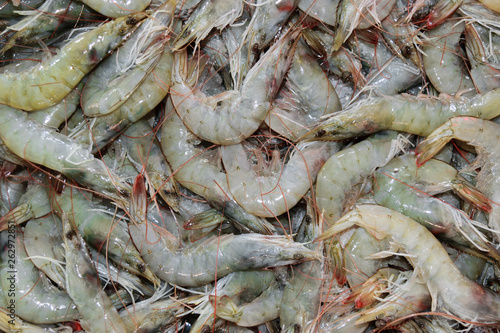 Raw and fresh shrimp background
