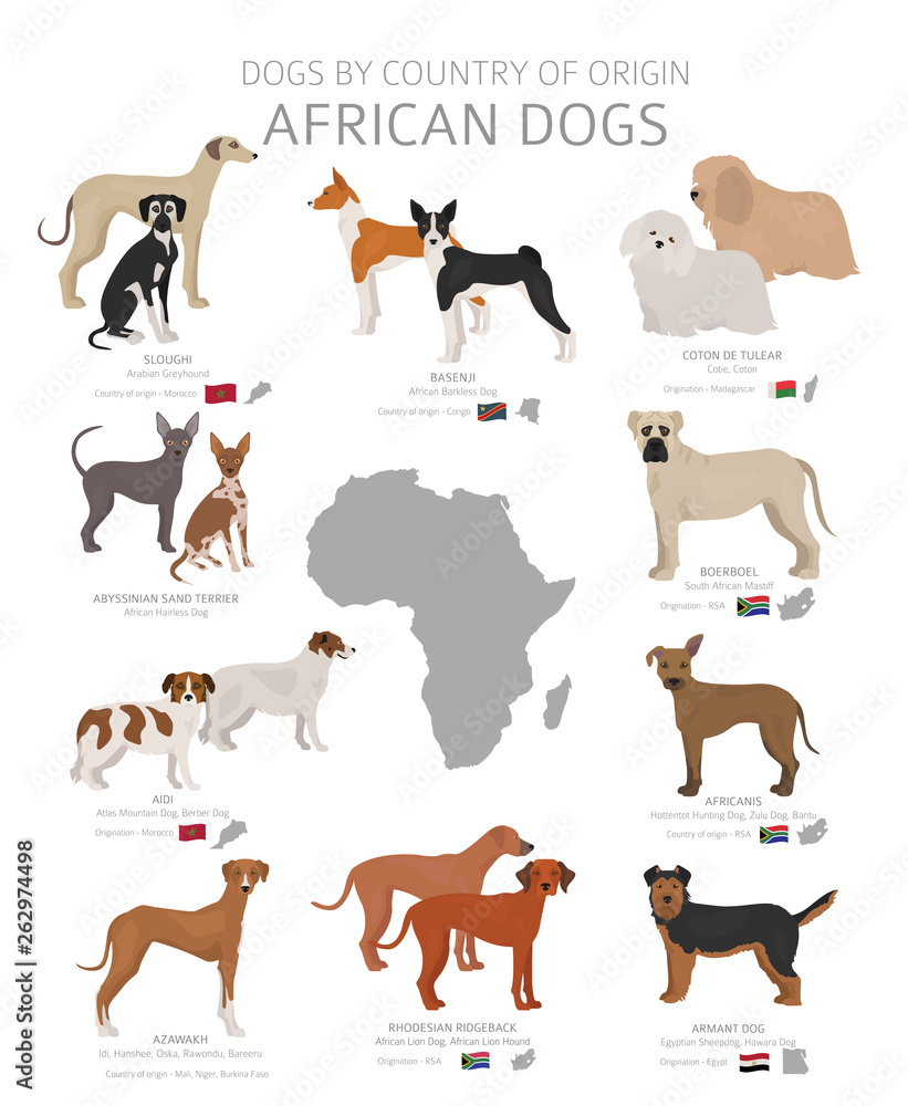 Dogs by country of origin. African dog breeds. Shepherds, hunting, herding, toy, working and service dogs  set