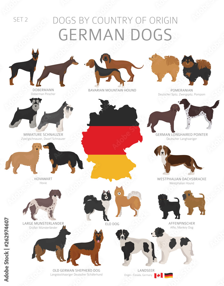 Dogs by country of origin. German dog breeds. Shepherds, hunting, herding, toy, working and service dogs  set