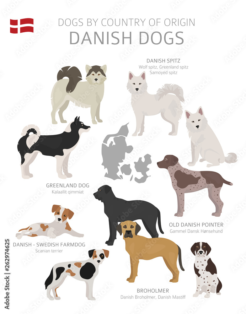 Dogs by country of origin. Danish dog breeds. Shepherds, hunting, herding, toy, working and service dogs  set