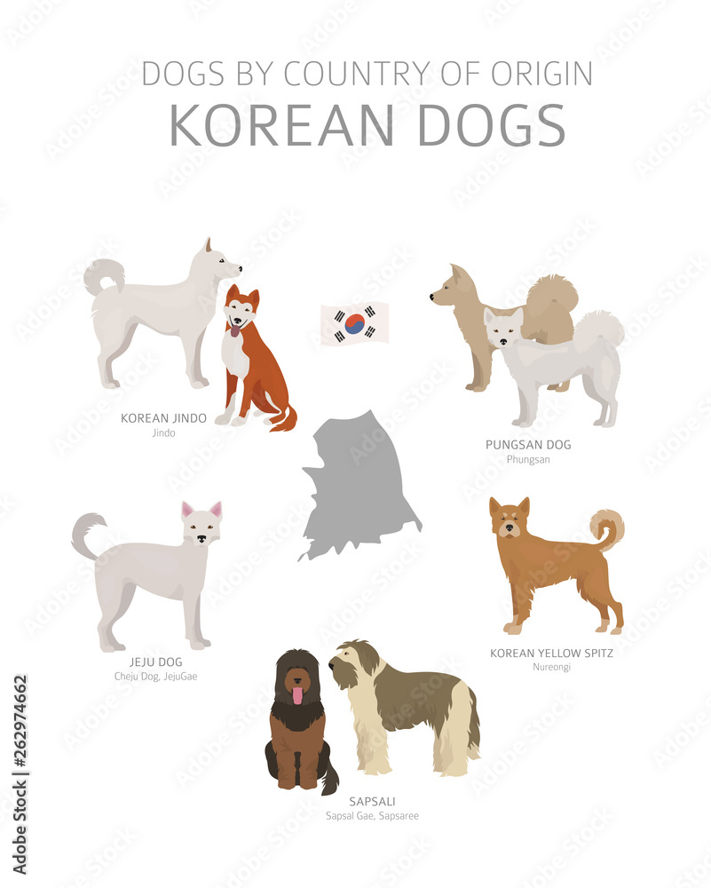 Dogs by country of origin. Korean dog breeds. Shepherds, hunting, herding, toy, working and service dogs  set