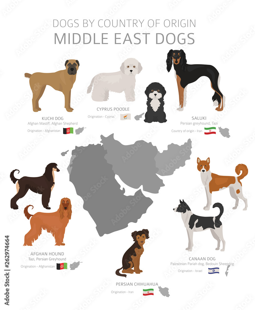 Dogs by country of origin. Middle East dog breeds. Shepherds, hunting, herding, toy, working and service dogs  set