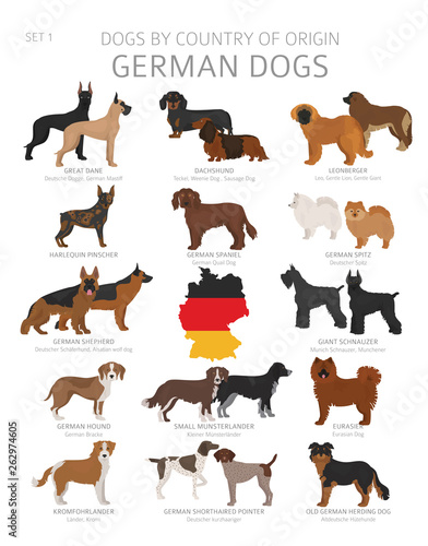 Dogs by country of origin. German dog breeds. Shepherds, hunting, herding, toy, working and service dogs set