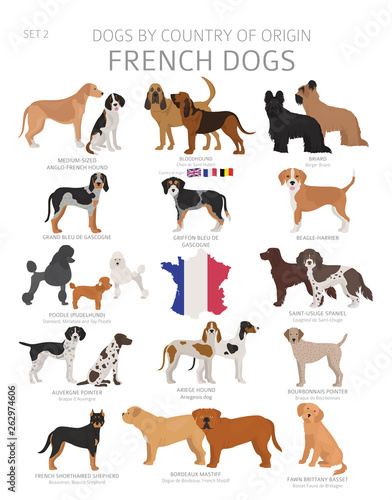 Dogs by country of origin. French dog breeds. Shepherds, hunting, herding, toy, working and service dogs  set