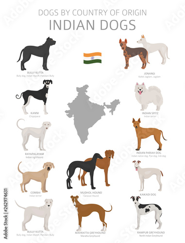 Dogs by country of origin. Indian dog breeds. Shepherds, hunting, herding, toy, working and service dogs  set