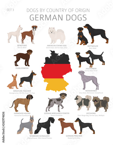 Dogs by country of origin. German dog breeds. Shepherds, hunting, herding, toy, working and service dogs  set