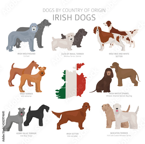 Dogs by country of origin. Irish dog breeds. Shepherds, hunting, herding, toy, working and service dogs  set