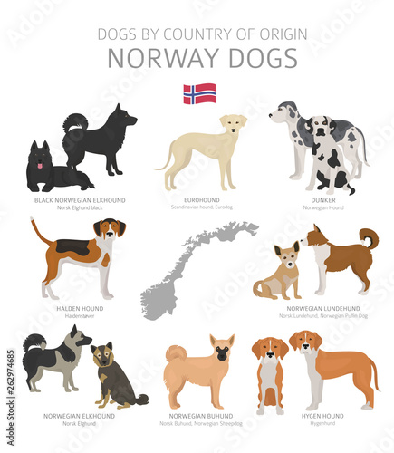 Dogs by country of origin. Norway dog breeds. Shepherds, hunting, herding, toy, working and service dogs  set