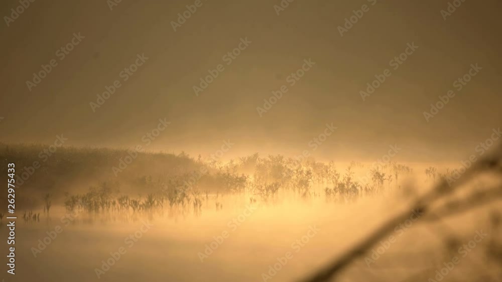 Morning mist over the Danube Morning mist over the Danube