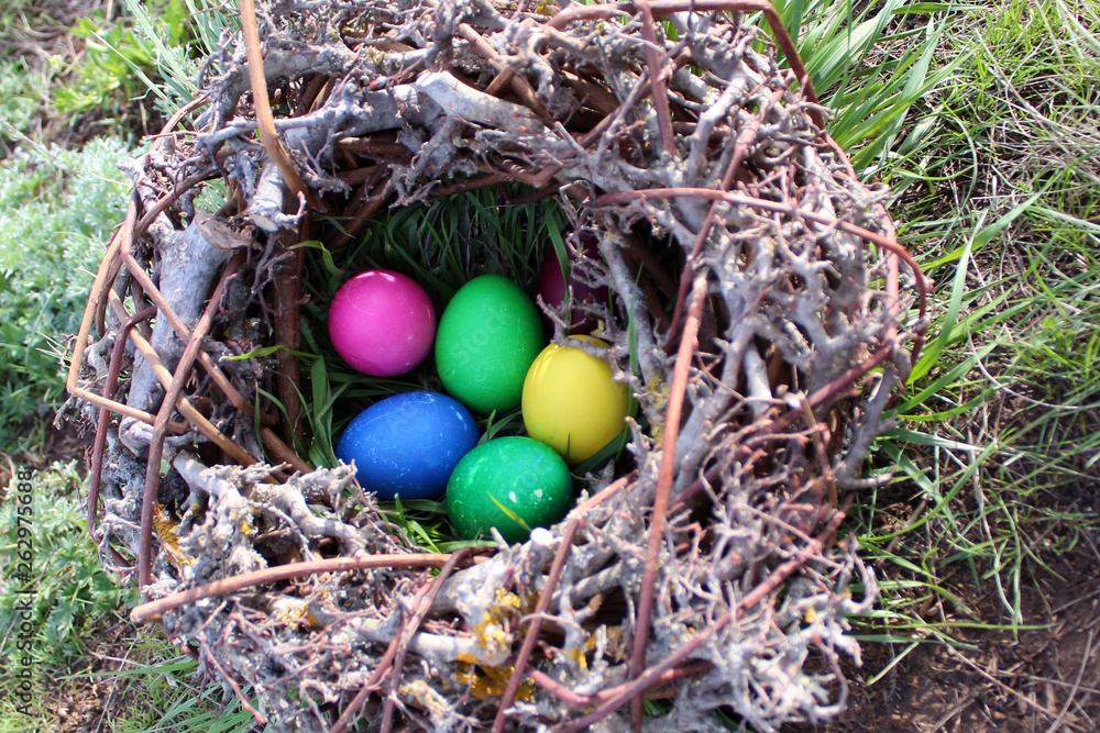 Easter eggs in the nest in the sun