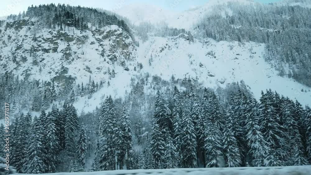 Mountains are covered with snow and also there is a lot of snow on the trees.