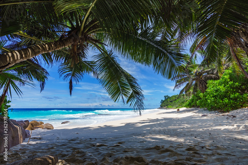 beautiful paradise beach, anse bazarca, seychelles 16