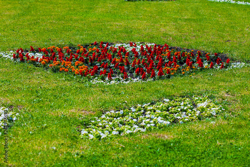 flower beds in urban public places
