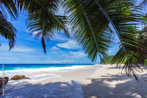 Fototapeta Naklejka Na Ścianę i Meble -  beautiful paradise beach, anse bazarca, seychelles 25