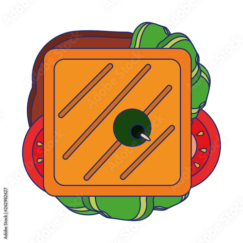 Sandwich healthy food isolated topview