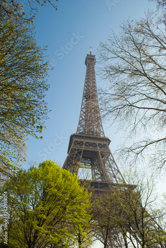 The Eiffel Tower in Paris, France © danileon