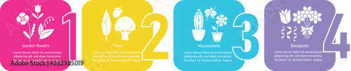 Plants vector infographic template