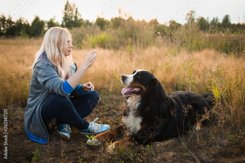 Young woman walking with Bernese Mountain Dog on the summer field