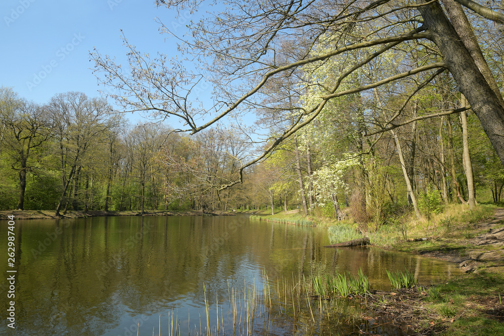 am seeufer am seeufer