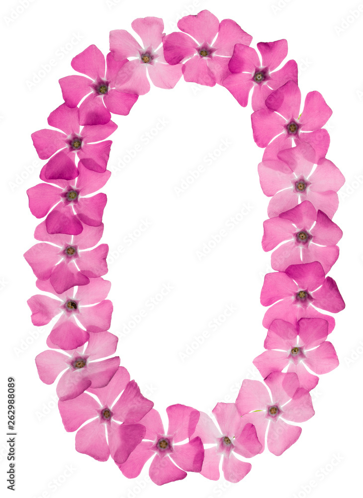 Numeral 0, zero, from natural pink flowers of periwinkle, isolated on white background