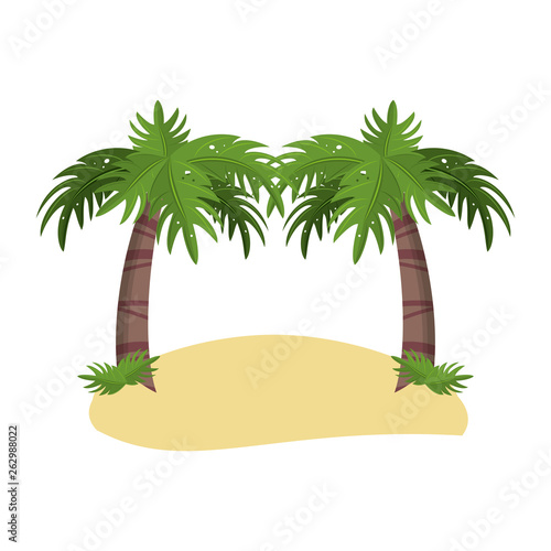 Palms trees on beach