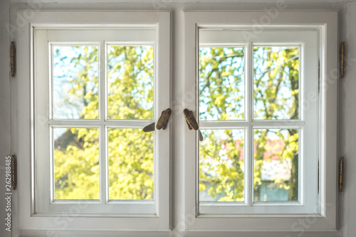 wooden window with sunny garden view - looking through old double windows -