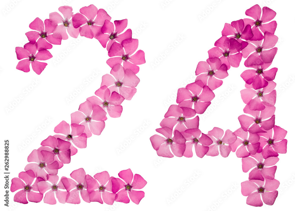 Numeral 24, twenty four, from natural pink flowers of periwinkle, isolated on white background Numeral 24, twenty four, from natural pink flowers of periwinkle, isolated on white background