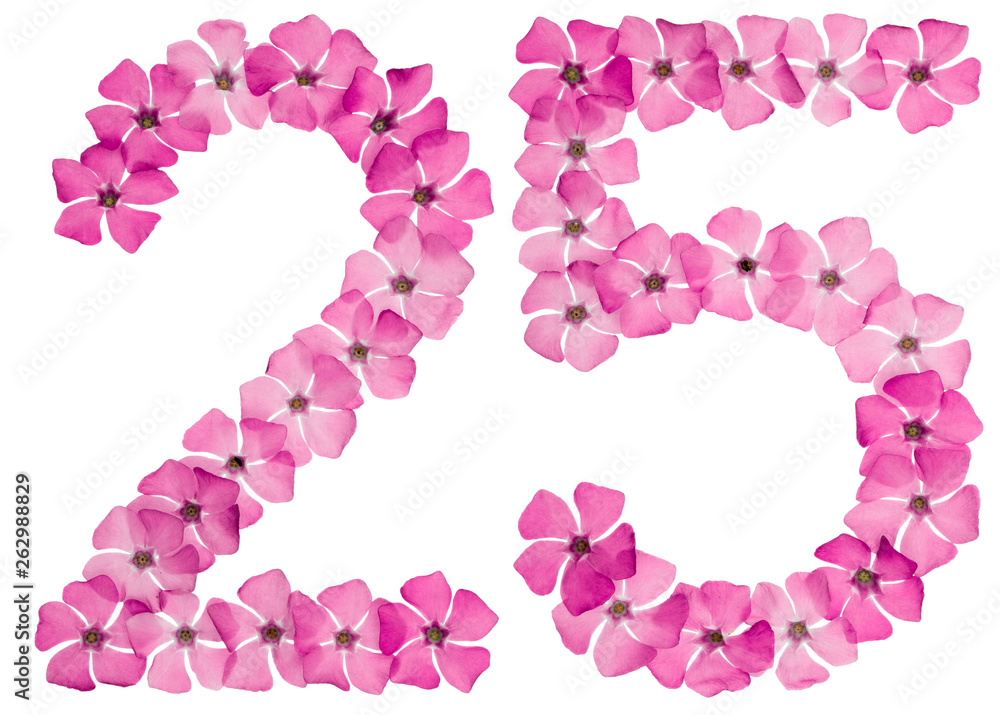 Numeral 25, twenty five, from natural pink flowers of periwinkle, isolated on white background