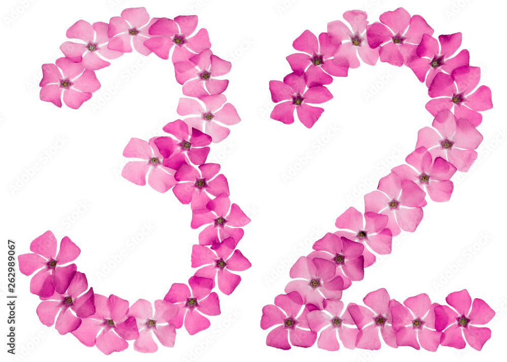 Numeral 32, thirty two, from natural pink flowers of periwinkle, isolated on white background Numeral 32, thirty two, from natural pink flowers of periwinkle, isolated on white background