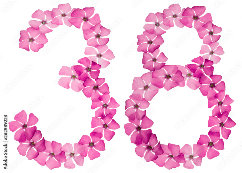 Numeral 38, thirty eight, from natural pink flowers of periwinkle, isolated on white background