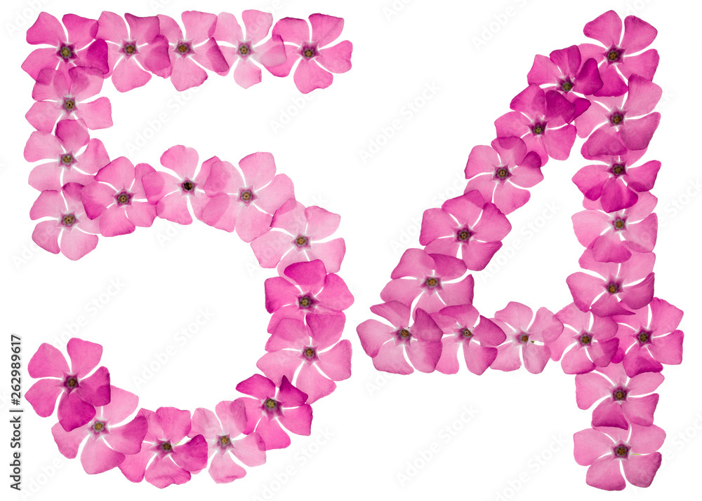 Numeral 54, fifty four, from natural pink flowers of periwinkle, isolated on white background Numeral 54, fifty four, from natural pink flowers of periwinkle, isolated on white background