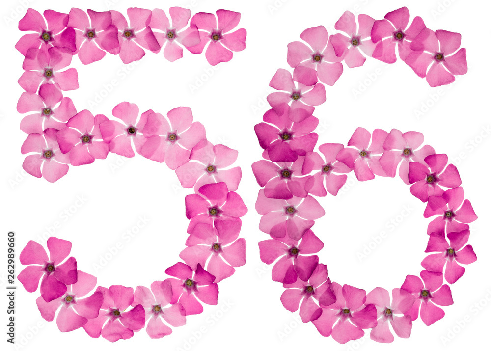 Numeral 56, fifty six, from natural pink flowers of periwinkle, isolated on white background
