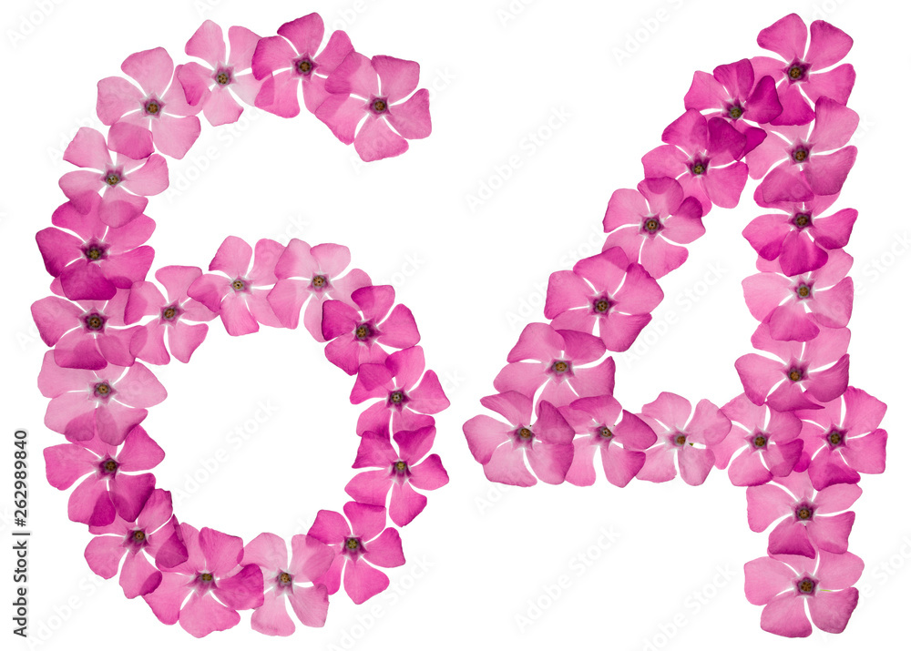 Numeral 64, sixty four, from natural pink flowers of periwinkle, isolated on white background Numeral 64, sixty four, from natural pink flowers of periwinkle, isolated on white background
