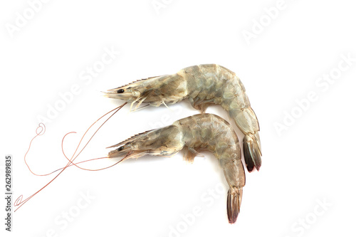 fresh shrimp isolated on white background