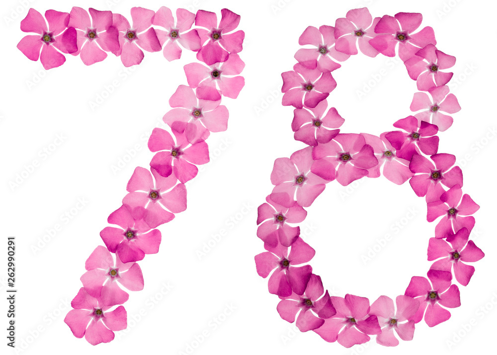 Numeral 78, seventy eight, from natural pink flowers of periwinkle, isolated on white background