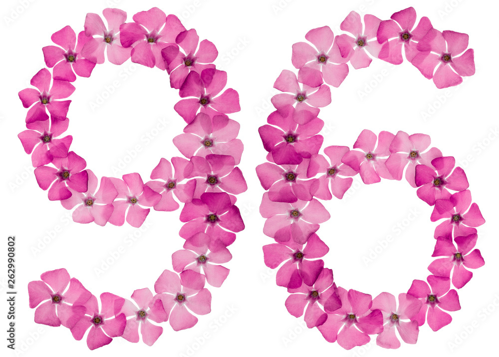 Numeral 96, ninety six, from natural pink flowers of periwinkle, isolated on white background