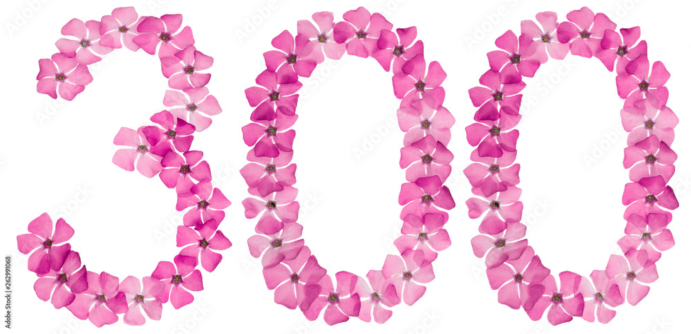 Numeral 300, three hundred, from natural pink flowers of periwinkle, isolated on white background