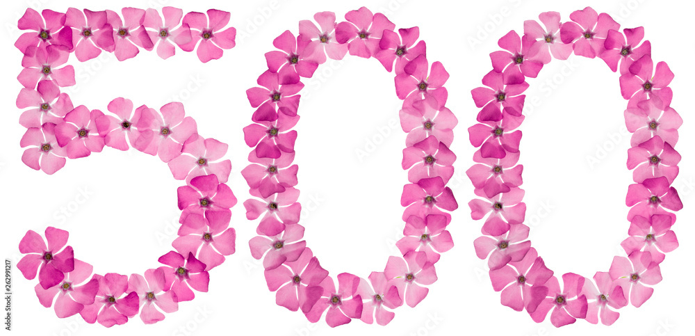 Numeral 500, five hundred, from natural pink flowers of periwinkle, isolated on white background