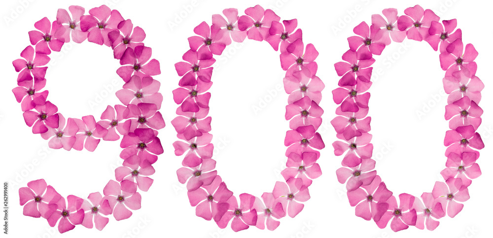 Numeral 900, nine hundred, from natural pink flowers of periwinkle, isolated on white background