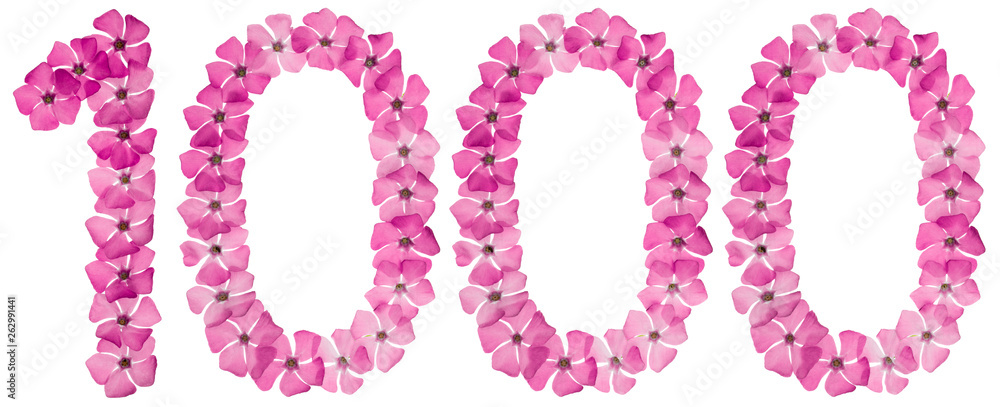 Numeral 1000, one thousand, from natural pink flowers of periwinkle, isolated on white background