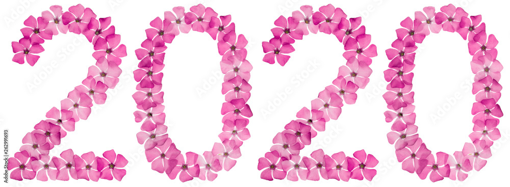 Inscription 2020, from natural pink flowers of periwinkle, isolated on white background