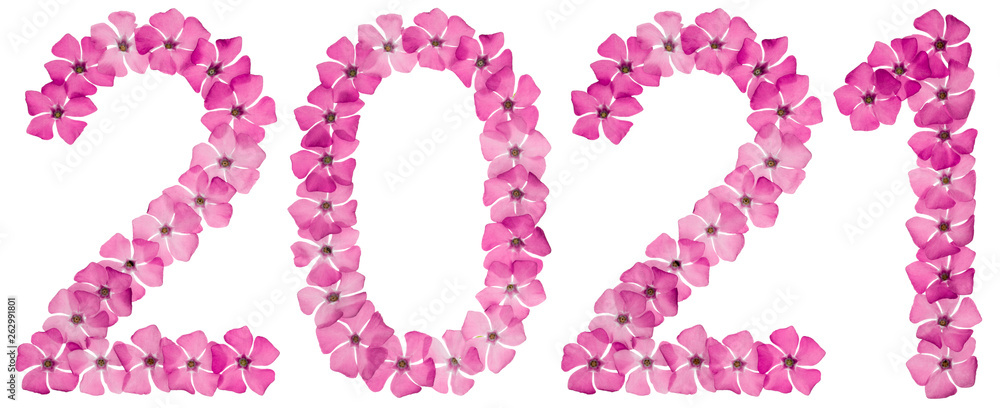 Inscription 2021, from natural pink flowers of periwinkle, isolated on white background