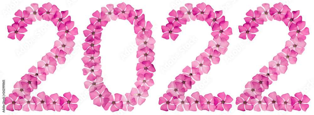 Inscription 2022, from natural pink flowers of periwinkle, isolated on white background