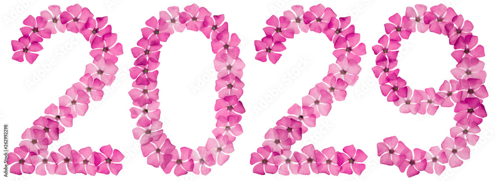 Inscription 2029, from natural pink flowers of periwinkle, isolated on white background