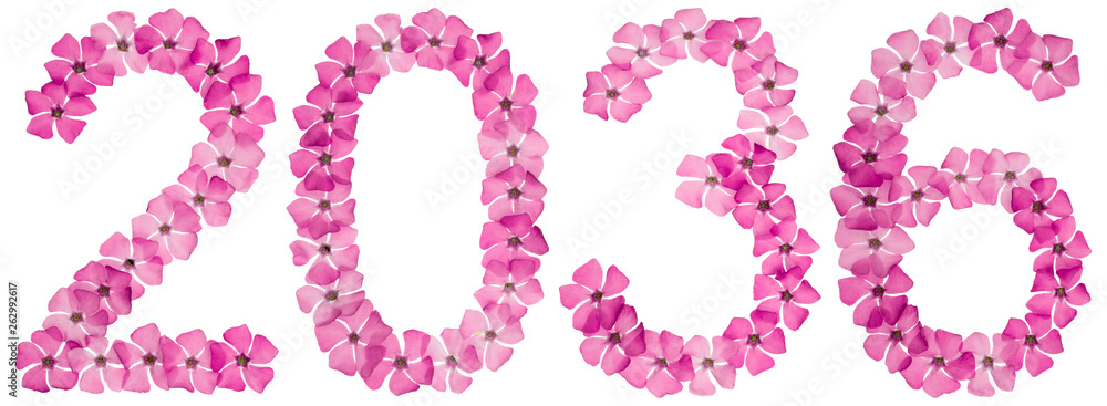 Inscription 2036, from natural pink flowers of periwinkle, isolated on white background